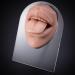 Soft Silicone Tongue & Mouth Model with Acrylic Stand - Perfect for Piercing Practice & Jewelry Display | Teaching Aids (Flesh Blonde - Buy Online on GoSupps.com