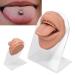 Soft Silicone Tongue & Mouth Model with Acrylic Stand - Perfect for Piercing Practice & Jewelry Display | Teaching Aids (Flesh Blonde - Buy Online on GoSupps.com
