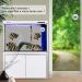 FREESEA 25W Aquarium Fish Tank Heater with Submersible Thermometer - Ideal for Betta & Turtle Tanks - Buy Online on GoSupps.com