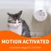 ALL FOR PAWS Cat Litter Deodorizer Smart Pet Odor Eliminator Automatic Pet Odor Eliminator Unscented Dust-Free Versatile Function to Purify Odors from Pet House Toilet Wardrobe USB Powered - Buy Online on GoSupps.com