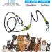 Reflective Dog Leash for Running Walking & Training - Durable Nylon Crossbody Design for All Dog Sizes - Buy Online on GoSupps.com