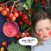 Biokidd Organic Facial Makeup for Kids - 5 Natural Body Paint Colors for Sensitive Skin | Perfect for Carnival & Halloween - Buy Online on GoSupps.com