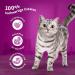 Whiskas Senior 11+ Cat Food - Poultry Selection in Jelly 48 Portion Bags (12x85g) - High-Quality Wet Fodder for Cats 11+ - 4 kg (1 Pack) - International Shipping Available - Buy Online on GoSupps.com