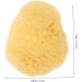 FOMIYES Natural Sponge Greece Facial Essentials Face Cleansing Pads Facial Sponges for Washing Face Cleansing Sponges Face Sponges Face Scrubber Facial Supplies Professional - Buy Online on GoSupps.com