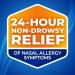 Nasacort 24HR Allergy Nasal Spray for Adults - Non-Drowsy, Alcohol-Free - 120 Sprays - 0.57 fl. oz. (Pack of 1) - Buy Online on GoSupps.com