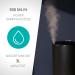 Duux Beam Mini 2 Humidifier - Ultrasound Control Remote & Smartphone 3L Capacity for 30m - Ideal for Humid Bedrooms - Black - Buy Online on GoSupps.com