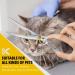 Dream REACH 8 Ergonomic Dog Fur Scissors - 440C Stainless Steel & Adjustable Screw - Professional Pet Grooming Tool for Dogs & Cats - Buy Online on GoSupps.com