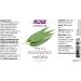Now Foods Eucalyptus Radiata Essential Oil 1 fl oz - Pure Aromatherapy | Natural Wellness - Buy Online on GoSupps.com