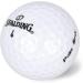 SPALDING Pure Spin 12 Ball Pack - White | Premium Golf Balls - Buy Online on GoSupps.com