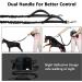 ETACCU Hands Free Dog Running Lead with Waist Belt | Reflective Shock Absorbing | Durable 2 Handles | 120-180cm Extendable - Buy Online on GoSupps.com