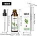 Cedar Oil 100 ml | Nourishing Body Massage Oil for Sensitive Normal & Dry Skin | Youpo Essential Oils Body Care - Buy Online on GoSupps.com