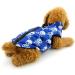 Shop Pegasus Winter Coat for Dogs & Cats | Warm Windproof Jackets for Chihuahua Dachshund & Puppies - Blue Skull Design - Buy Online on GoSupps.com
