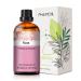 PHATOIL Rose Essential Oil 30ML Premium Grade Pure Essential Oils for Diffusers for Home Perfect for Aromatherapy Diffuser Humidifier Candle Making Rose(rose) 30 ml (Pack of 1)