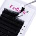 Self Fanning Easy Fan Lashes C Curl 0.05 11-19mm - Natural Look Russian Eyelash Extensions - Buy Online on GoSupps.com