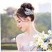 Didiseaon Bridesmaid Hair Comb Jeweled Hair Combs Rhinestone Headpiece Wedding Hair Comb Photography Props Silver Headpiece Tiara Hair Accessories Rhinestones Hair up - Buy Online on GoSupps.com