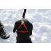 K9 Bridle - to stop your dog pulling (Medium Black) Medium Black - Buy Online on GoSupps.com