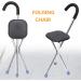 Walking Stick with Seat Cane Portable 2-in-1 Crutches Stainless Steel Lightweight Folding with 3-Legged Stool Elderly Travel Walking Black Walking Sticks for Elderly Gift - Buy Online on GoSupps.com