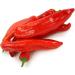 Paprika Pepper Flakes Pepper Vegetables Premium Quality from Hungary Pack of 3 x 1500 g Bags (4.5 kg) - Buy Online on GoSupps.com