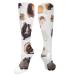Guinea pig compression socks for women and men circulation 15 20 mmHg is the best support for sporty running and cycling