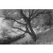 Hoya 82mm R72 Infrared Glass Filter for Superior Photography Results - Buy Online on GoSupps.com