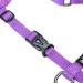 Adjustable Cat Harness for Small, Medium, Large Kittens - Purple - No Pull Pet Harness - Buy Online on GoSupps.com
