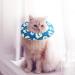 Kitchen-Dream Soft Cat Collar - Cute Anti-Bite Neckband for Pets | Wound Healing Collar in Blue - Buy Online on GoSupps.com