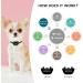 Jewyow Small Dog Bark Collar- Rechargeable & Harmless Anti Bark Collar for Small Dogs- 7 Adjustable Sensitivity Levels- Beep & Vibration Mode- Black - Buy Online on GoSupps.com
