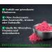 Raspberry Powder 200g | 100% Natural Fruit Powder | Sugar-Free Superfood - Buy Online on GoSupps.com