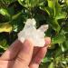 Natural Crystal Rough Natural Crystal Rough Crystal 2 Pieces 60g Angel Crystal Cluster Blue and White Natural Titanium Coated Gem Quartz Cluster Home Decor Suitable for Home Office Decoration - Buy Online on GoSupps.com