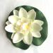 Buy Vectexi Artificial Plastic Lotus Flowers - Floating Water Lily Ornaments for Aquarium & Pond - Set of 3 White - Buy Online on GoSupps.com