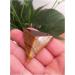 for 45mm Natural Crystal Pyramid Tiger's-Eye Quartz Tetrahedron Pyramid Reiki Minerals Quartz Crystals Stone gemst ningxiao - Buy Online on GoSupps.com