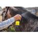 Carr & Day & Martin Flygard Insect Repellent Spray 500ml 500 ml (Pack of 1) - Buy Online on GoSupps.com