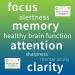 Creekside Natural Focused Mind Teen: Memory & Focus Support w/ Lion's Mane - Pediatrician Formulated, Vegan - 60 Capsules - Buy Online on GoSupps.com