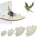 Bird Wood Perch Platform Stand Chew Toy | XL Size 7.87x7.87 Inch | Cage Accessories for Parakeet Cockatiel Lovebird Conure Finch African Grey Canary Cockatoo Hamster Chinchilla Guinea Pig Gerbil Rat - Buy Online on GoSupps.com