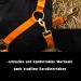 Premium Adjustable Horse Halter for Warmbloods & Thoroughbreds | Tearproof Safe & Comfortable - Ideal for Stables & Pastures (Orange Cold Blood) - Buy Online on GoSupps.com
