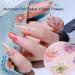 Dried Flowers, Foil Nail Chips, Glitter Stickers - Nail Art Supplies - Buy Online on GoSupps.com