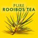 Freshpak Pure Rooibos Tea 80 Tagless Bags - Premium Rooibos, No Infusions - New Packaging (2-Pack) - Buy Online on GoSupps.com