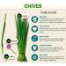 PROUDLY CANADIAN Organic N Natural | Chives 100% Natural | 45 g - Buy Online on GoSupps.com