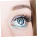 FRCOLOR 5 Pairs Short False Eyelashes Manga False Eyelashes Magnetic Makeup False Lashes 3d Penne Manual 1 count (Pack of 1) Black 3 - Buy Online on GoSupps.com
