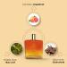 The Man Company Joy Perfume for Men | Premium Long-Lasting Fragrance Eau De Parfum | Gift For Him - 100Ml - Buy Online on GoSupps.com