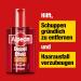 Alpecin Doppel-Effekt Coffein-Shampoo 200 ml Best Anti-Hair Loss Shampoo | International Shipping Available - Buy Online on GoSupps.com