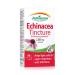 Echinacea Purpurea Tincture 2 000 mg 7 Count (Pack of 1)