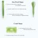 7-Piece Natural Resin Gua Sha Scraping Massage Tool Set for Face, Back, and Neck - Green - Buy Online on GoSupps.com