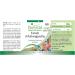 Fairvital | Ashwagandha 500mg - extra strong - Indian Ginseng - VEGAN - 60 capsules - Ashwagandha extract standardized to 5% withanolides - Buy Online on GoSupps.com