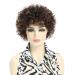 HUA Short Wigs for White Women Real Human Hair Brazilian Curly Human Hair Wigs for White Women Clearance Ombre Highlights Brown Mix Short Hair Styles for Women Over 60 70 Gifts for Mom 150% Density P4/30