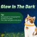 WEALLIN Luminous Repellent Cat Collars - Strong & Water-Resistant, 2 Pcs, Orange - Buy Online on GoSupps.com