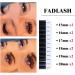 Fadlash Easy Fan D Curl 0.07 Russian Lashes - 15-20mm Mixed Length for Natural Look - Self Fanning Eyelash Extensions - Buy Online on GoSupps.com