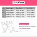 Tineer 2 Packs Pet Surgical Recovery Suit E-Collar Alternative for Cats Abdominal Wounds After Surgery Wear for Kittens Physiological Clothes (S Red + Orange) S Red + Orange - Buy Online on GoSupps.com