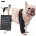 INOOMP Comfortable Dog Pet Injury Knee Leg Supplies Dog Leg Braces for Hindleg Step in Dog Harness Dog Foreleg Brace Dog Leg Cover Puppy Leg Cover Puppy Knee Braces L As Shown - Buy Online on GoSupps.com