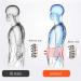 Ondian Adjustable Lower Back Support for Chronic Pain Relief | Sciatica & Herniated Disc Support - Buy Online on GoSupps.com